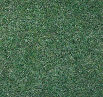 Ковролин Tapisom 900 Green - 900 419002009 00017 фото 1 | FLOORDEALER